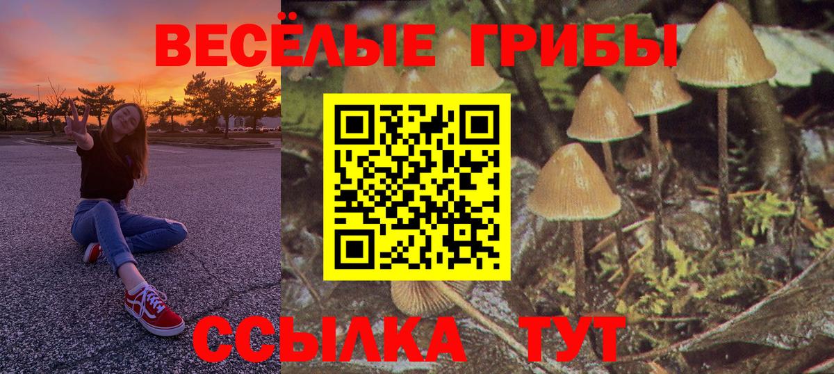 Псилоцибиновые грибы мухоморы Тихорецк