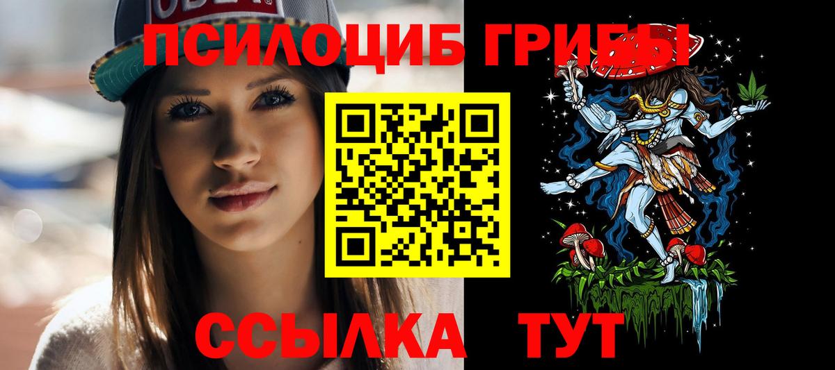 Псилоцибиновые грибы мицелий  Галлюциногенные грибы Psilocybine cubensis  Тихорецк  Вход с VPN 